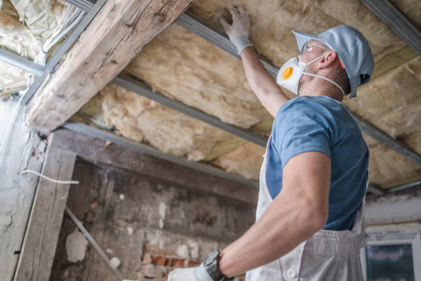 Best Insulation Repair Services  in Crete, NE