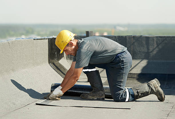 Best Professional Insulation Contractor  in Crete, NE