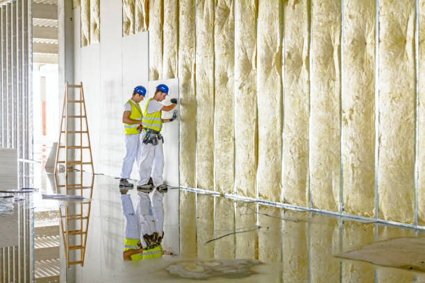Best Insulation Replacement Services  in Crete, NE